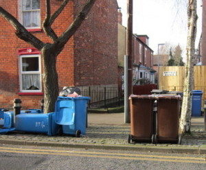 Hull City Council to offer recycling advice to residents 